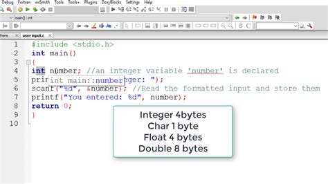 How to Print Unsigned Int in C: A Journey Through the Digital Forest