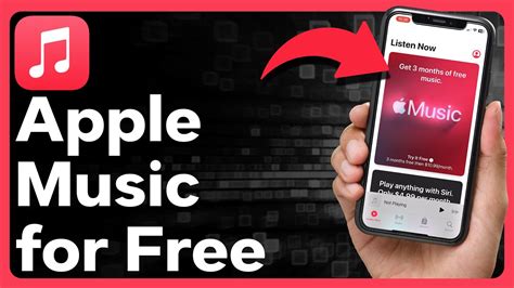 Why Won't My Music Play on Apple Music: Exploring the Symphony of Digital Glitches